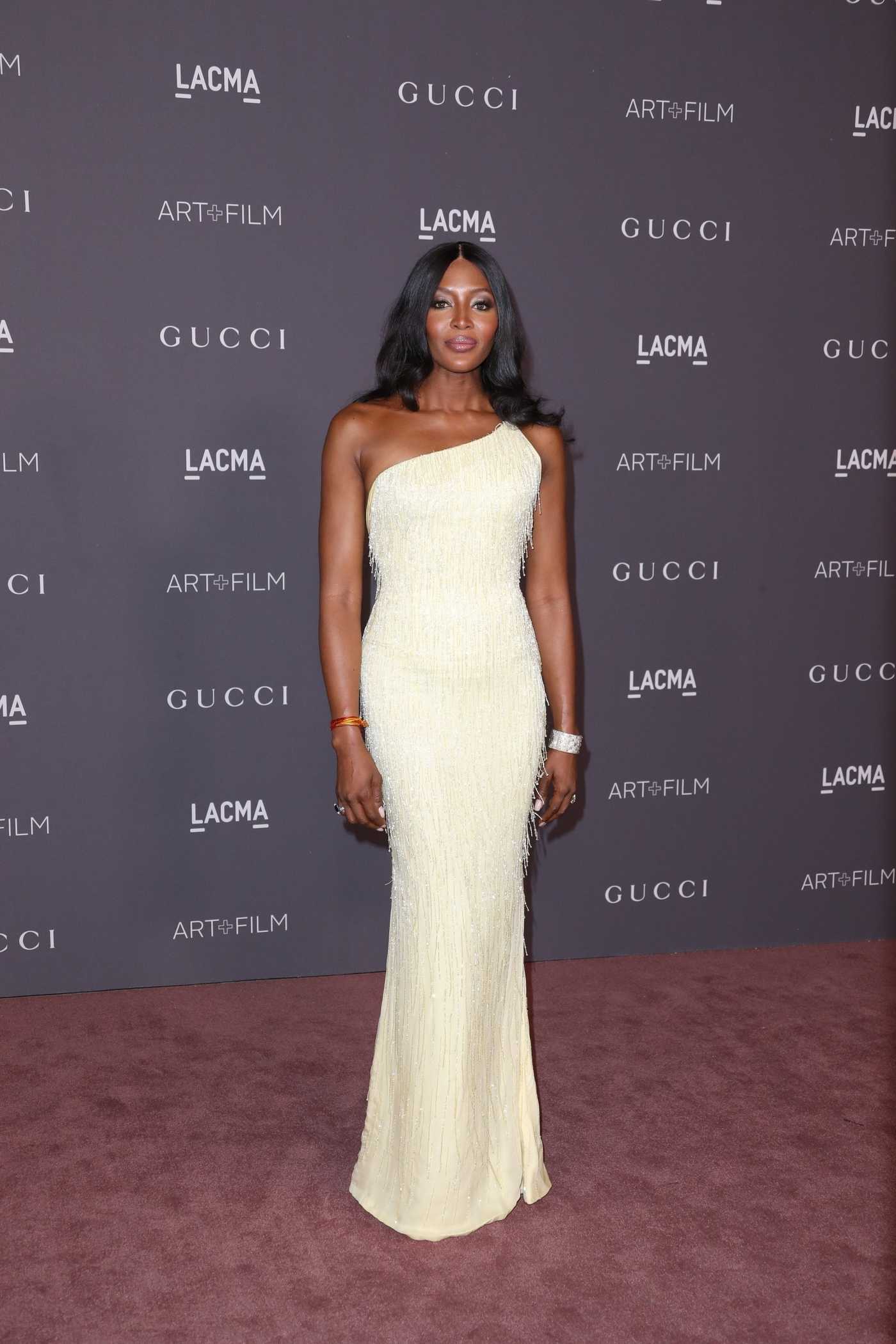 Naomi Campbell at 2017 LACMA Art and Film Gala in Los Angeles 11/04/2017