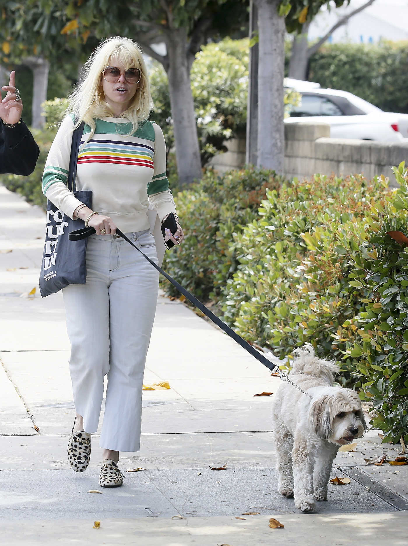 Alice Eve Walks Her Dog Out in Los Angeles 05/29/2018