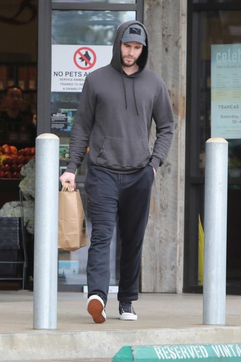 Liam Hemsworth in a Gray Hoody