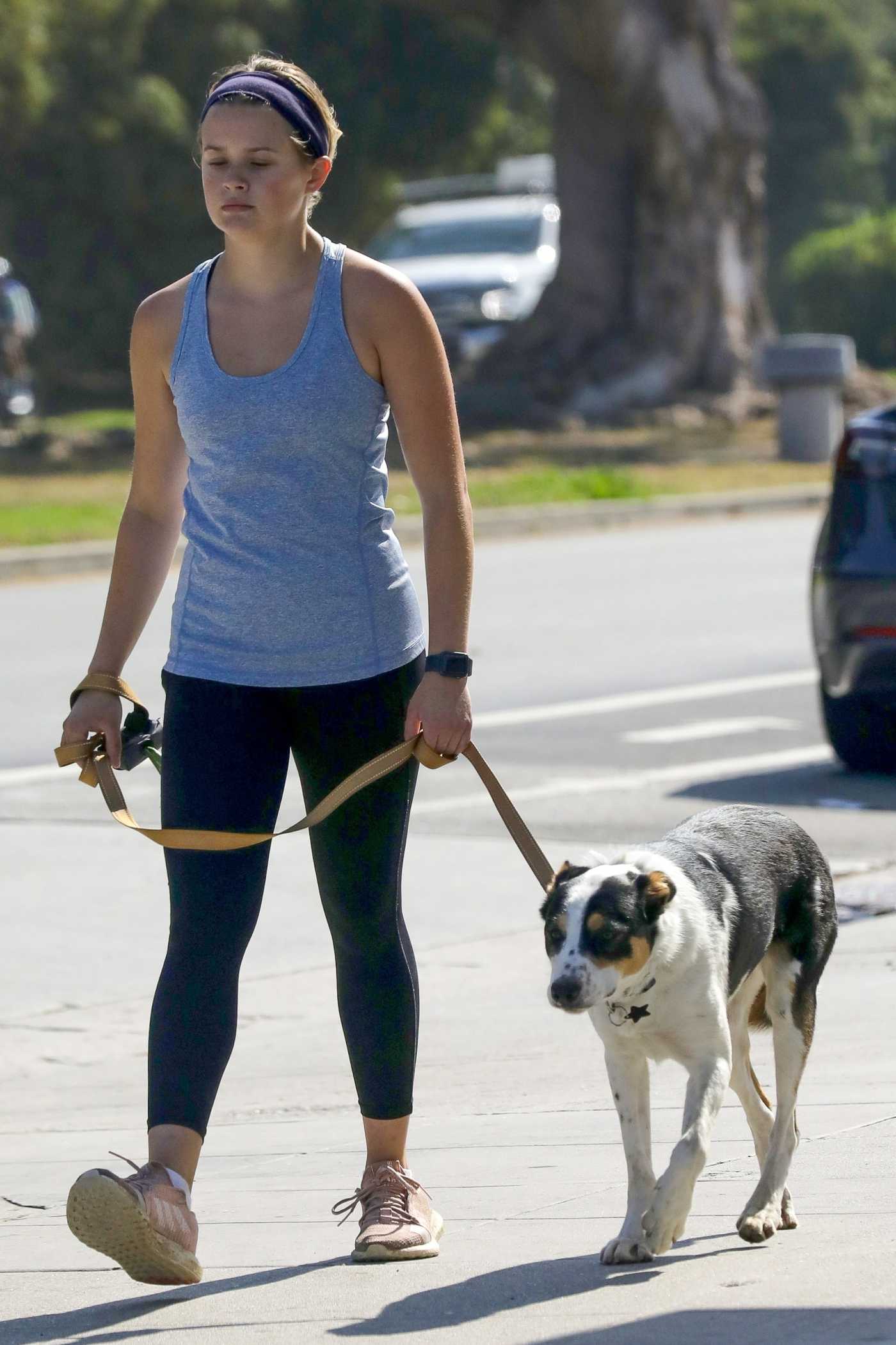 Ava Phillippe in a Grey Tank Top Walks Her Dog Benji in Brentwood 07/21/2021