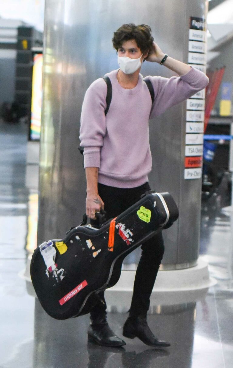 Shawn Mendes in a Lilac Sweater