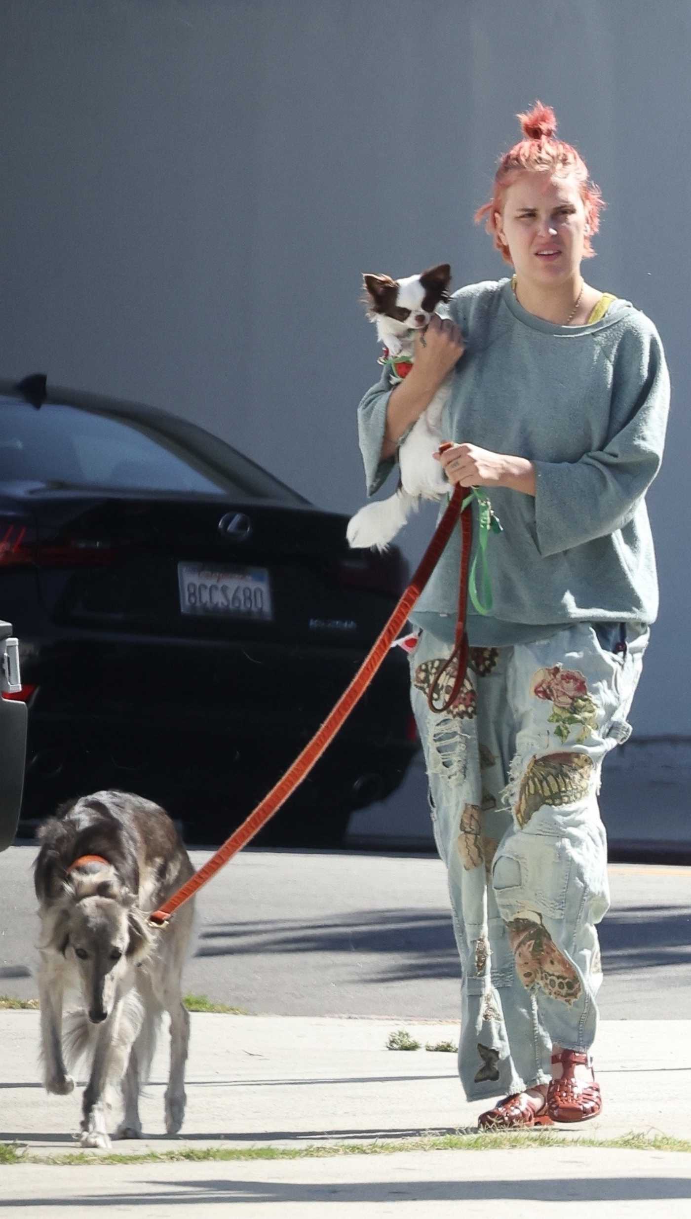 Tallulah Willis in a Blue Sweatshirt Takes Her Pets Out for a Stroll in Los Angeles 10/06/2023